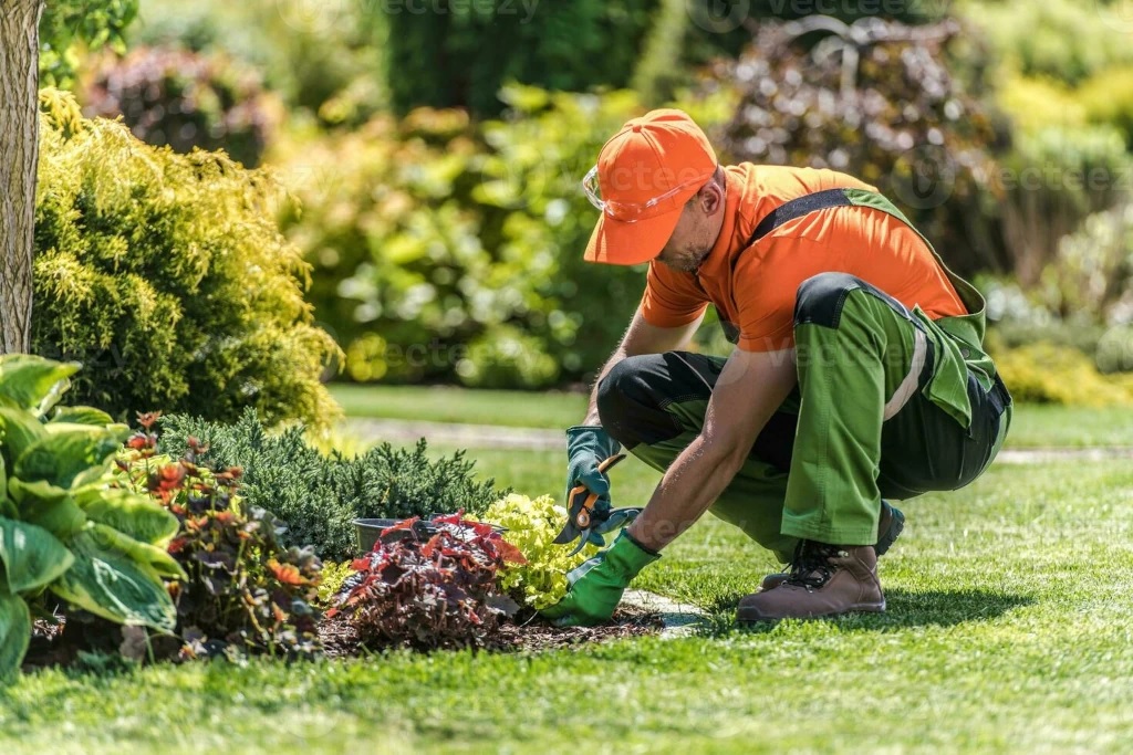 Jardinería